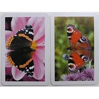 Butterflies Twin Deck Of Superior Playing Cards In Gold Box