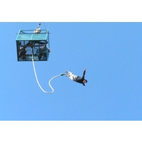 Bungee Jump