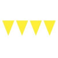 Bunting XL Yellow 10m