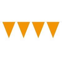 Bunting Orange 10m With 15 Flags