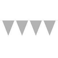 Bunting XL Silver 6m