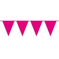 Bunting XL Cerise 10m