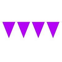 Bunting XL Purple 10m