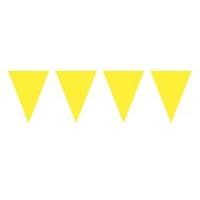 Bunting Mini Yellow Baby 3m