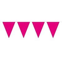 Bunting Mini Magenta 3m