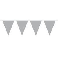 Bunting Mini Silver 3m