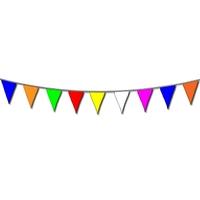 Bunting Multi Colour 20 On 10m Polyester