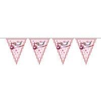 Bunting New Arrival Its A Girl 10m