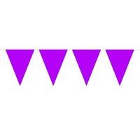 bunting purple 10m with 15 flags