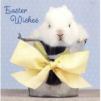Bunny Easter cards (Pack of 6)
