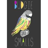 budgie birthday card ja1007