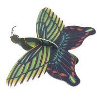 Butterfly Glider