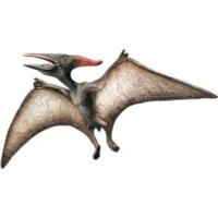 bullyland museum line pteranodon