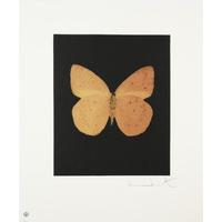 Butterfly - Portrait - Prosperity By Damien Hirst