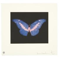 butterfly landscape to belong by damien hirst