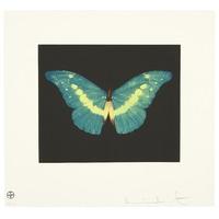 Butterfly - Landscape - To Believe By Damien Hirst