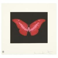 butterfly landscape to lose by damien hirst