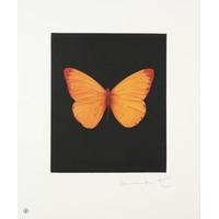 Butterfly- Portrait - Hope By Damien Hirst