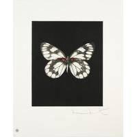 Butterfly - Portrait - Regeneration By Damien Hirst