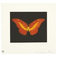 butterfly landscape to love by damien hirst