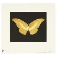 Butterfly - Landscape - To Lure By Damien Hirst