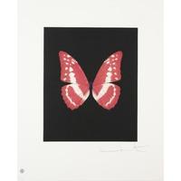 Butterfly - Potrait - Eternal Rest By Damien Hirst