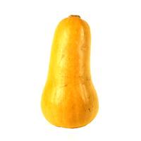 Butternut Squash