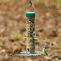 Budget Seed Feeder and Tray