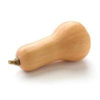 Butternut Squash (each)