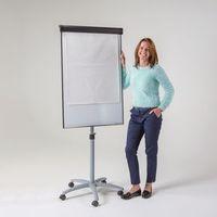 BUZZARD MOBILE FLIPCHART EASEL