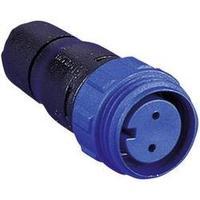 Bulgin PX0411/08S/6065 400 Series Buccaneer Connector Nominal current: 5 A Number of pins: 8