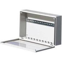 build in casing 400 x 125 x 200 steel plate light grey ral 7035 rittal ...