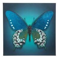 butterfly blue glitter canvas w75cm h75cm