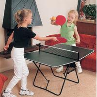 Butterfly Family Table Tennis Table