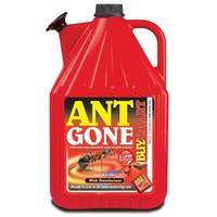 Buysmart Products 5L Ant Gone Ready to Use in Its Own Unique Watering Can