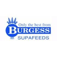 Burgess Feeder Red Admiral (Pack of 12)