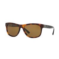 Burberry Sunglasses BE4234 Polarized 362783