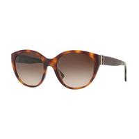 Burberry Sunglasses BE4242 363413