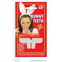 Bunny Teeth Fancy Dress Accessory
