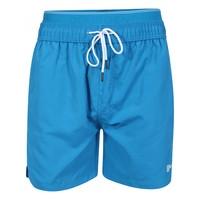 Buffon Swim Shorts in Blue - Dissident