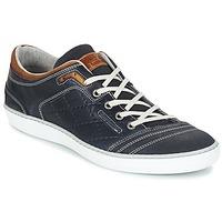 Bullboxer BAZIGUODE men\'s Shoes (Trainers) in blue