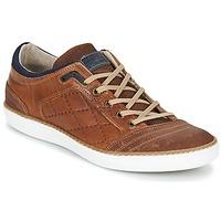 Bullboxer BAZIGUODE men\'s Shoes (Trainers) in brown