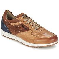 Bugatti FASETTE men\'s Shoes (Trainers) in brown
