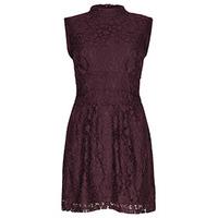 Burgundy Rose Lace Structured Dress