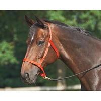 Busse Weide Headcollar