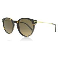 Bvlgari 7030 Sunglasses Dark Havana 504/73 51mm