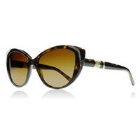 Bvlgari 8151BM Sunglasses Tortoise 504/T5 Polariserade