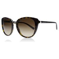 Bvlgari 8177 Sunglasses Dark Havana 504-13