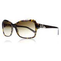 bvlgari 8153b sunglasses tortoise 50413