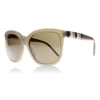 Bvlgari 8155 Sunglasses Turtledove 534973